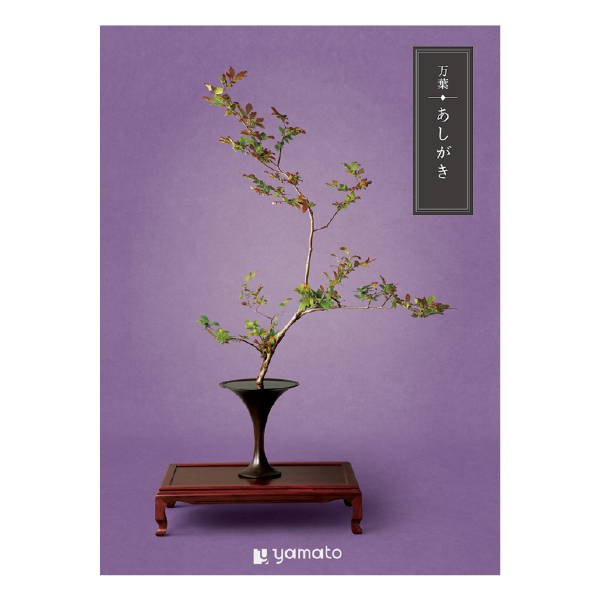 �J�^���O�M�t�g ���t ��������